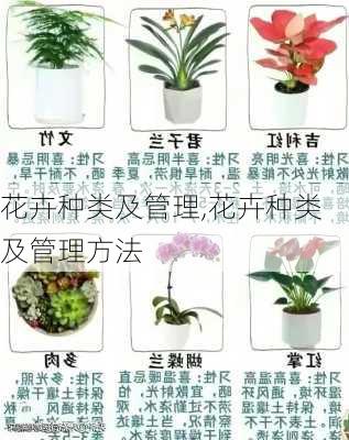 花卉种类及管理,花卉种类及管理方法