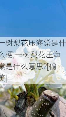 一树梨花压海棠是什么梗,一树梨花压海棠是什么意思?[偷笑]