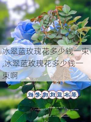 冰翠蓝玫瑰花多少钱一束,冰翠蓝玫瑰花多少钱一束啊