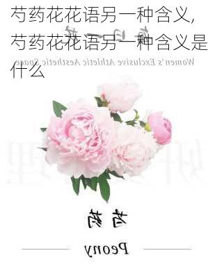 芍药花花语另一种含义,芍药花花语另一种含义是什么