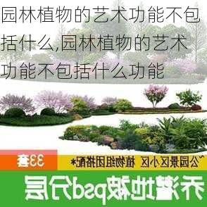 园林植物的艺术功能不包括什么,园林植物的艺术功能不包括什么功能