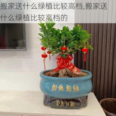 搬家送什么绿植比较高档,搬家送什么绿植比较高档的