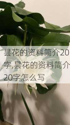 昙花的资料简介20字,昙花的资料简介20字怎么写