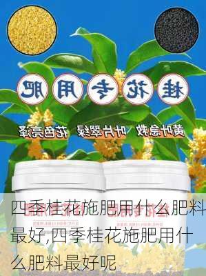 四季桂花施肥用什么肥料最好,四季桂花施肥用什么肥料最好呢