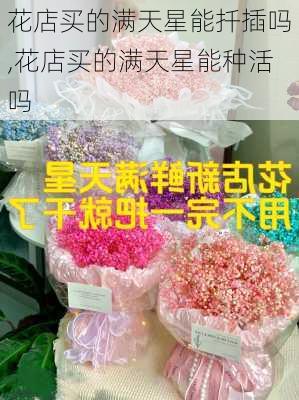 花店买的满天星能扦插吗,花店买的满天星能种活吗