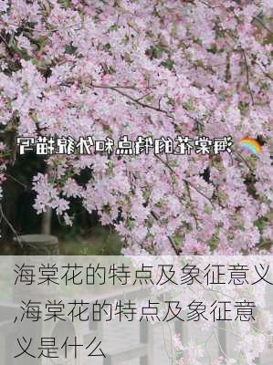 海棠花的特点及象征意义,海棠花的特点及象征意义是什么