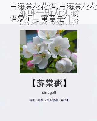 白海棠花花语,白海棠花花语象征与寓意是什么