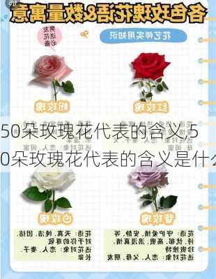 50朵玫瑰花代表的含义,50朵玫瑰花代表的含义是什么