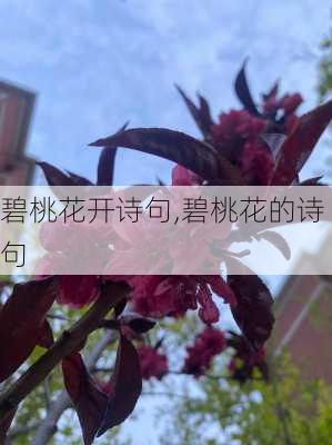 碧桃花开诗句,碧桃花的诗句