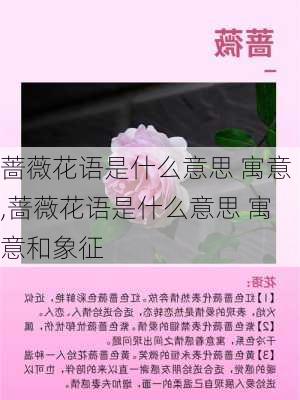 蔷薇花语是什么意思 寓意,蔷薇花语是什么意思 寓意和象征