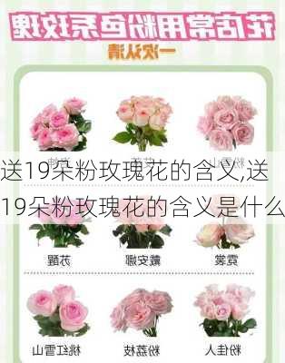 送19朵粉玫瑰花的含义,送19朵粉玫瑰花的含义是什么