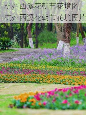 杭州西溪花朝节花境图,杭州西溪花朝节花境图片