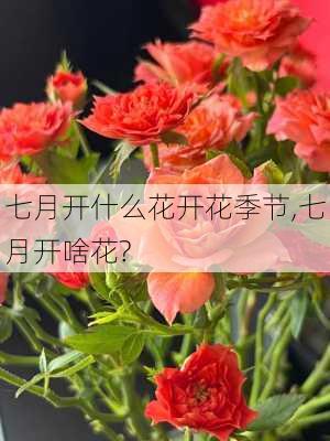 七月开什么花开花季节,七月开啥花?