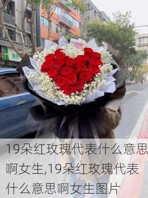 19朵红玫瑰代表什么意思啊女生,19朵红玫瑰代表什么意思啊女生图片