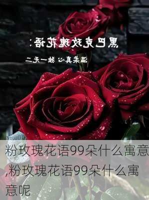 粉玫瑰花语99朵什么寓意,粉玫瑰花语99朵什么寓意呢