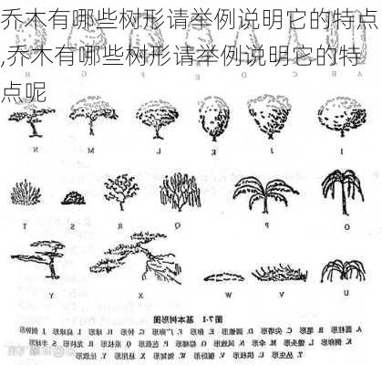 乔木有哪些树形请举例说明它的特点,乔木有哪些树形请举例说明它的特点呢