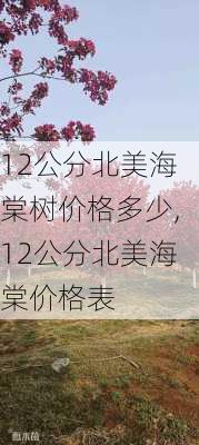 12公分北美海棠树价格多少,12公分北美海棠价格表