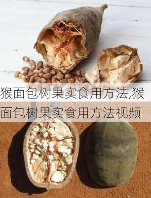 猴面包树果实食用方法,猴面包树果实食用方法视频