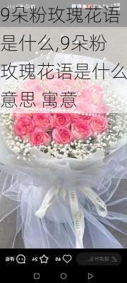 9朵粉玫瑰花语是什么,9朵粉玫瑰花语是什么意思 寓意