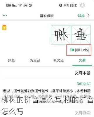 柳树的拼音怎么写,柳的拼音怎么写