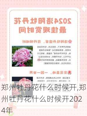 郑州牡丹花什么时候开,郑州牡丹花什么时候开2024年