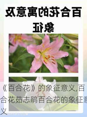 《百合花》的象征意义,百合花茹志鹃百合花的象征意义