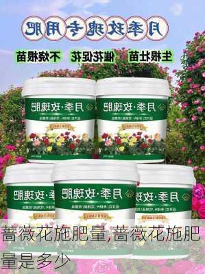 蔷薇花施肥量,蔷薇花施肥量是多少