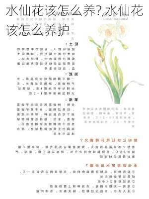 水仙花该怎么养?,水仙花该怎么养护