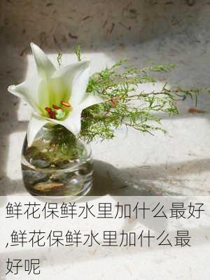 鲜花保鲜水里加什么最好,鲜花保鲜水里加什么最好呢