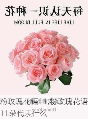 粉玫瑰花语11,粉玫瑰花语11朵代表什么