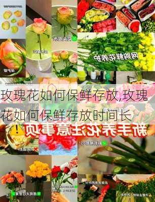 玫瑰花如何保鲜存放,玫瑰花如何保鲜存放时间长