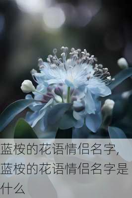 蓝桉的花语情侣名字,蓝桉的花语情侣名字是什么