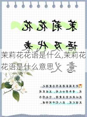 茉莉花花语是什么,茉莉花花语是什么意思