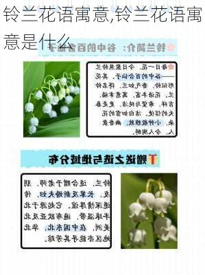 铃兰花语寓意,铃兰花语寓意是什么