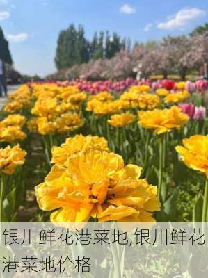 银川鲜花港菜地,银川鲜花港菜地价格