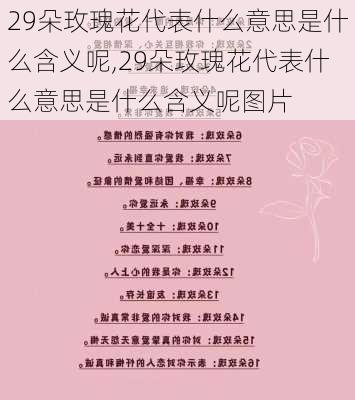 29朵玫瑰花代表什么意思是什么含义呢,29朵玫瑰花代表什么意思是什么含义呢图片