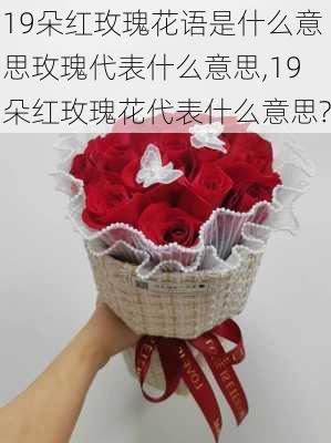 19朵红玫瑰花语是什么意思玫瑰代表什么意思,19朵红玫瑰花代表什么意思?