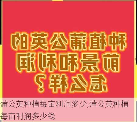 蒲公英种植每亩利润多少,蒲公英种植每亩利润多少钱