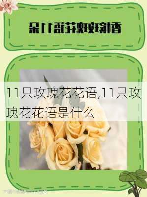 11只玫瑰花花语,11只玫瑰花花语是什么