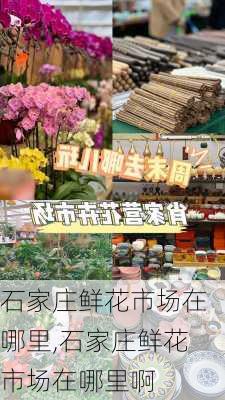 石家庄鲜花市场在哪里,石家庄鲜花市场在哪里啊