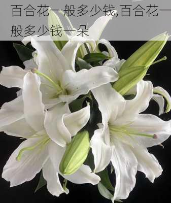 百合花一般多少钱,百合花一般多少钱一朵