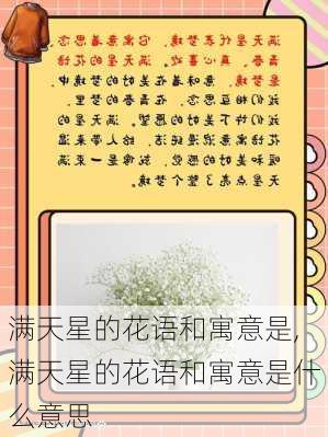 满天星的花语和寓意是,满天星的花语和寓意是什么意思