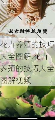 花卉养殖的技巧大全图解,花卉养殖的技巧大全图解视频