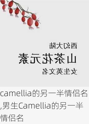 camellia的另一半情侣名,男生Camellia的另一半情侣名