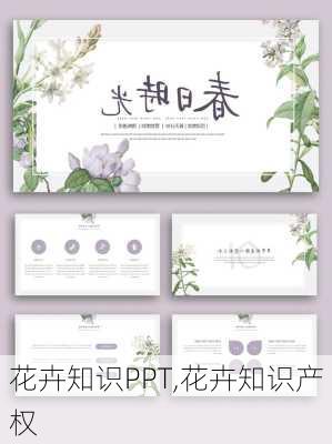 花卉知识PPT,花卉知识产权