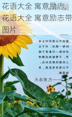 花语大全 寓意励志,花语大全 寓意励志带图片