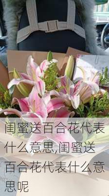 闺蜜送百合花代表什么意思,闺蜜送百合花代表什么意思呢