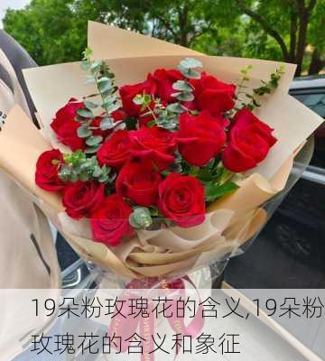 19朵粉玫瑰花的含义,19朵粉玫瑰花的含义和象征