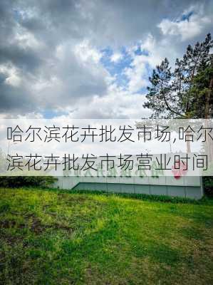 哈尔滨花卉批发市场,哈尔滨花卉批发市场营业时间