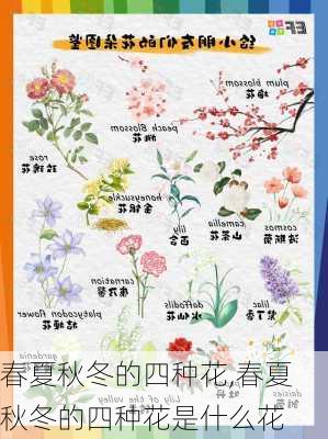 春夏秋冬的四种花,春夏秋冬的四种花是什么花